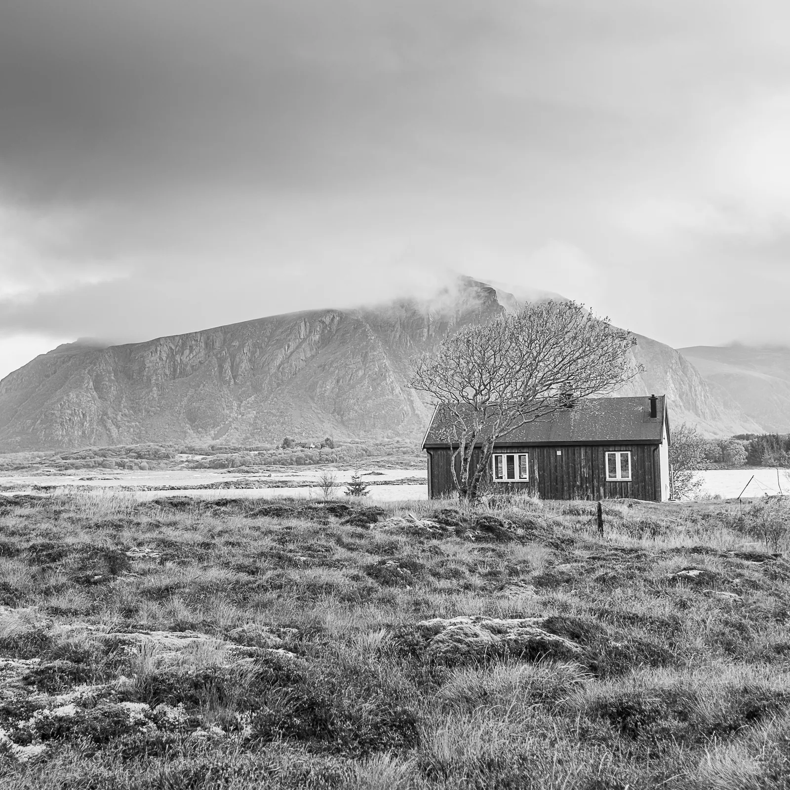 Hus og tre foran et fjell i skodde